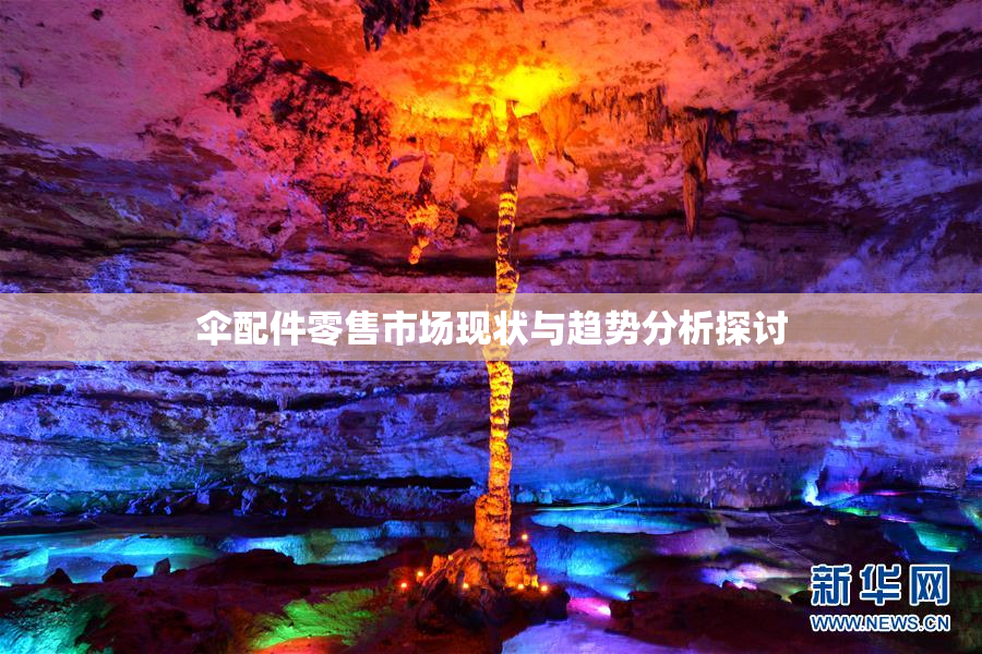 伞配件零售市场现状与趋势分析探讨