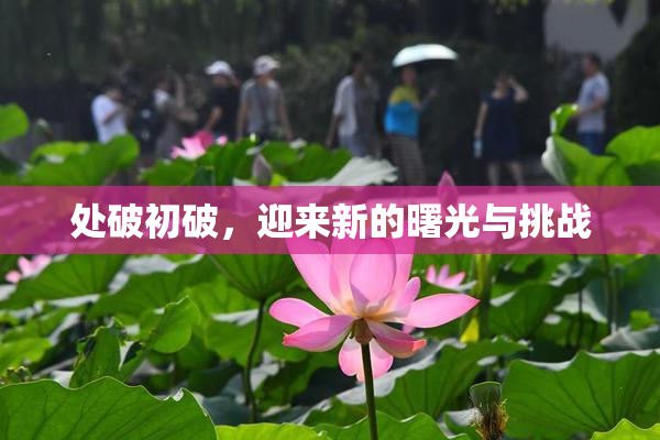 处破初破，迎来新的曙光与挑战