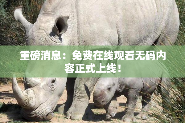 重磅消息：免费在线观看无码内容正式上线！