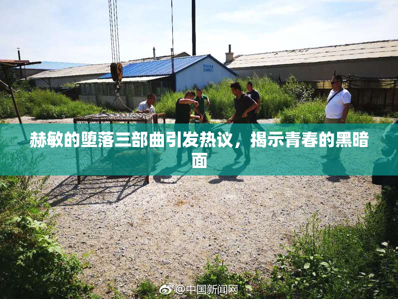 赫敏的堕落三部曲引发热议，揭示青春的黑暗面