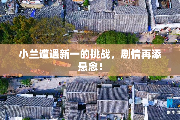 小兰遭遇新一的挑战，剧情再添悬念！