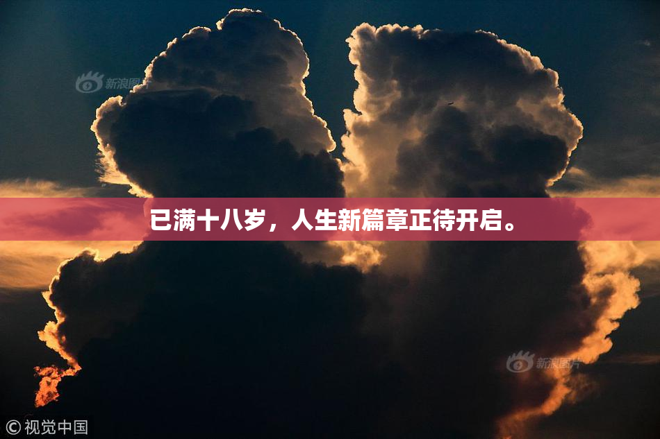 已满十八岁，人生新篇章正待开启。