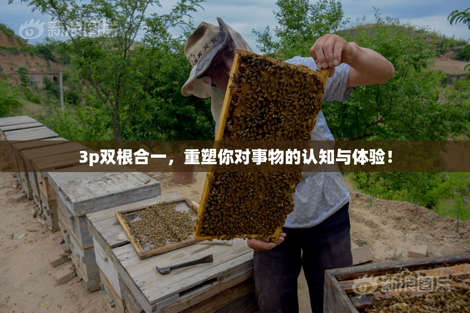 3p双根合一，重塑你对事物的认知与体验！