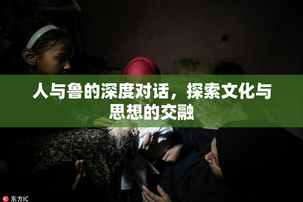 人与鲁的深度对话，探索文化与思想的交融