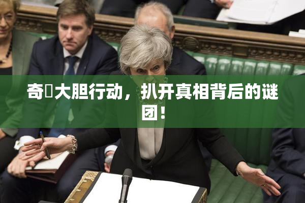 奇犽大胆行动，扒开真相背后的谜团！