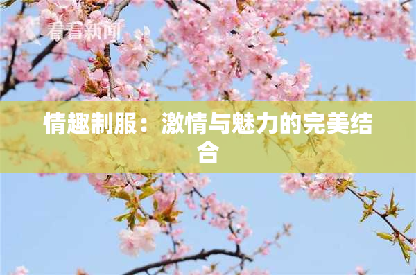 情趣制服：激情与魅力的完美结合