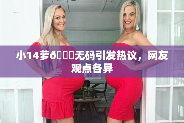 小14萝🔞无码引发热议，网友观点各异