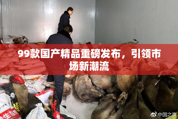 99款国产精品重磅发布，引领市场新潮流