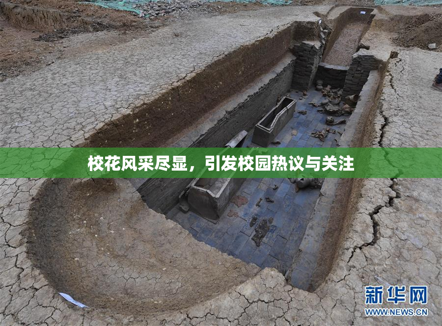 校花风采尽显，引发校园热议与关注
