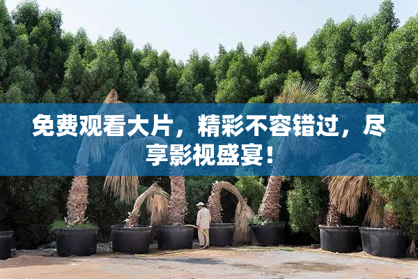 免费观看大片，精彩不容错过，尽享影视盛宴！