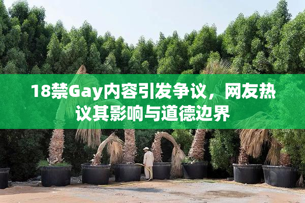 18禁Gay内容引发争议，网友热议其影响与道德边界
