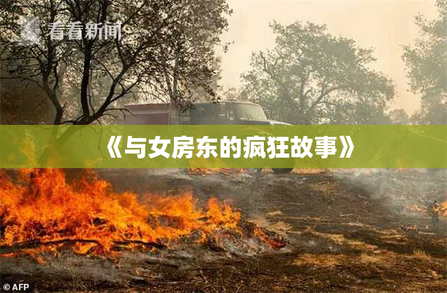 《与女房东的疯狂故事》