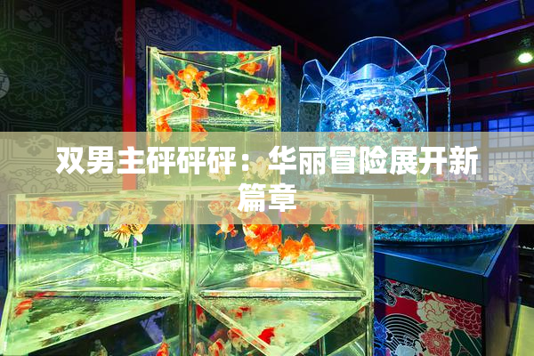 双男主砰砰砰：华丽冒险展开新篇章