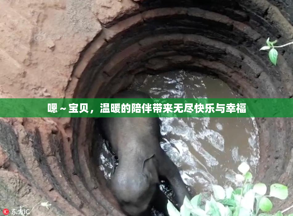 嗯～宝贝，温暖的陪伴带来无尽快乐与幸福