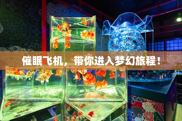 催眠飞机，带你进入梦幻旅程！