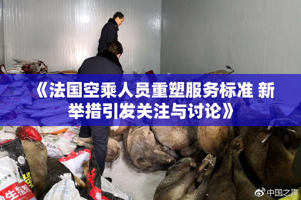 《法国空乘人员重塑服务标准 新举措引发关注与讨论》