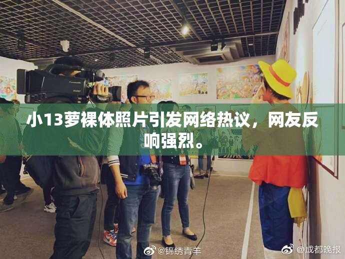 小13萝裸体照片引发网络热议，网友反响强烈。