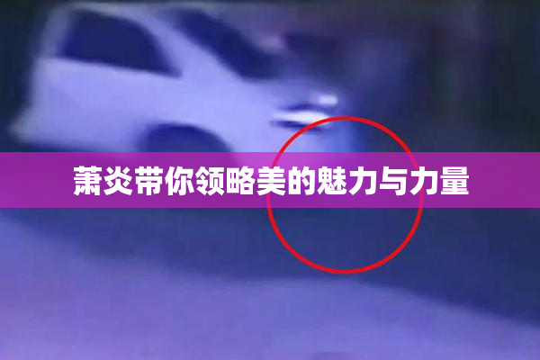萧炎带你领略美的魅力与力量
