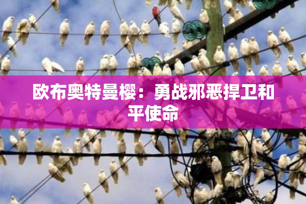 欧布奥特曼樱：勇战邪恶捍卫和平使命
