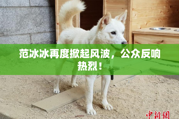 范冰冰再度掀起风波，公众反响热烈！