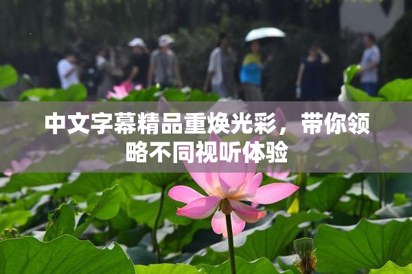 中文字幕精品重焕光彩，带你领略不同视听体验