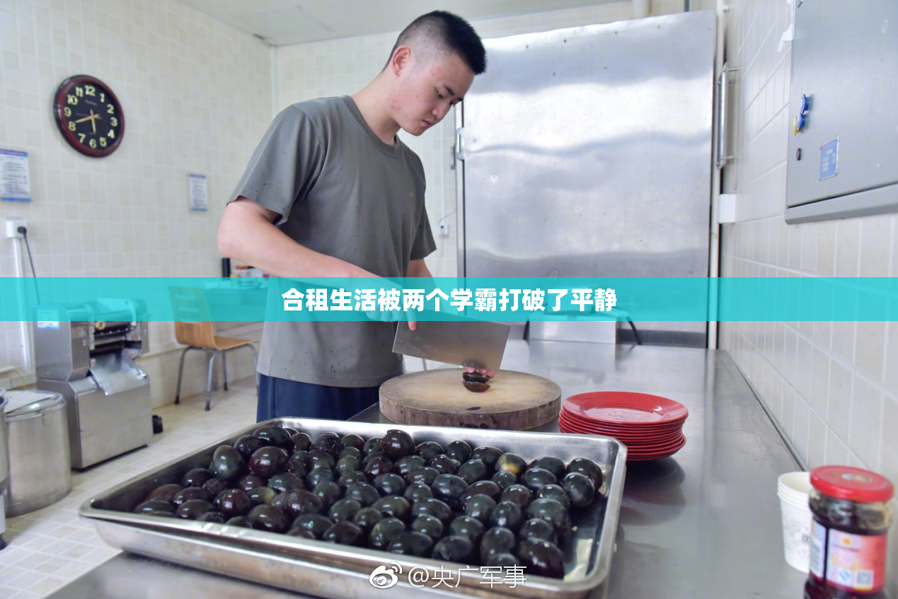 合租生活被两个学霸打破了平静