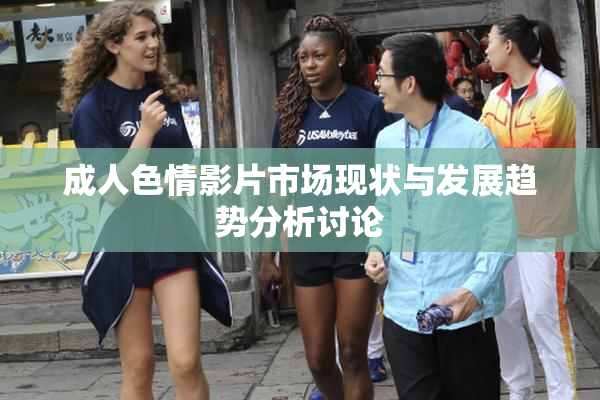 成人色情影片市场现状与发展趋势分析讨论