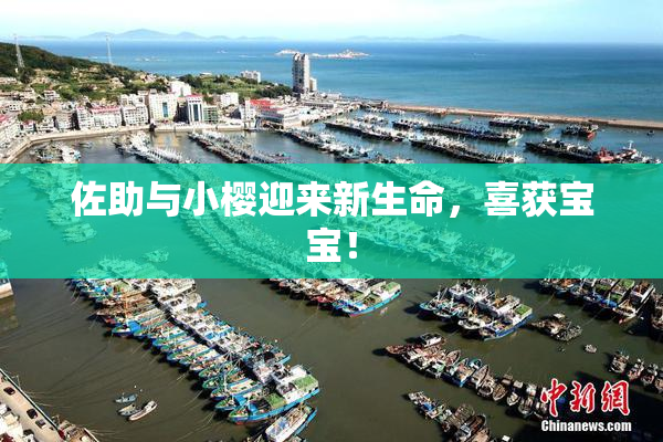 佐助与小樱迎来新生命，喜获宝宝！