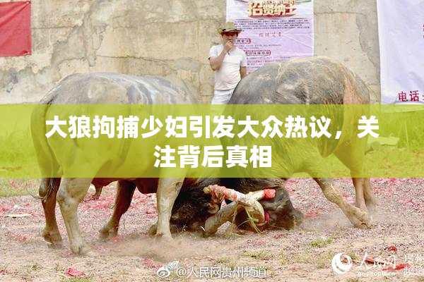 大狼拘捕少妇引发大众热议，关注背后真相