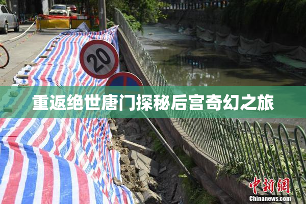 重返绝世唐门探秘后宫奇幻之旅
