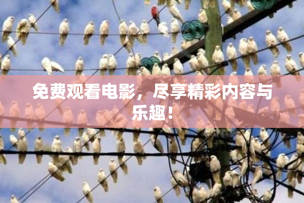 免费观看电影，尽享精彩内容与乐趣！