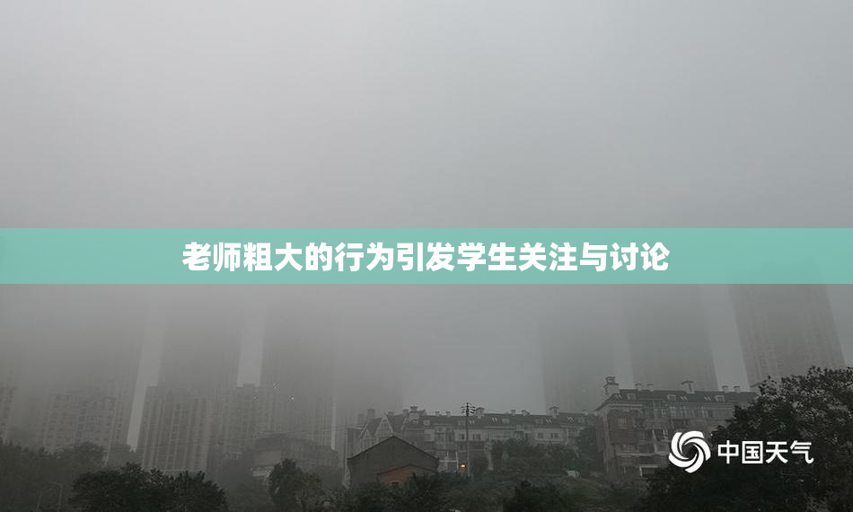 老师粗大的行为引发学生关注与讨论