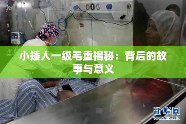 小矮人一级毛重揭秘：背后的故事与意义