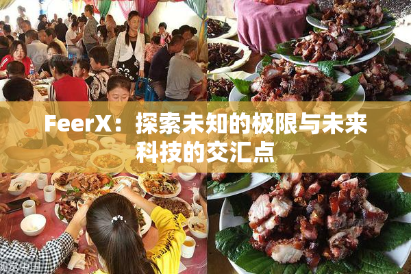 FeerX：探索未知的极限与未来科技的交汇点