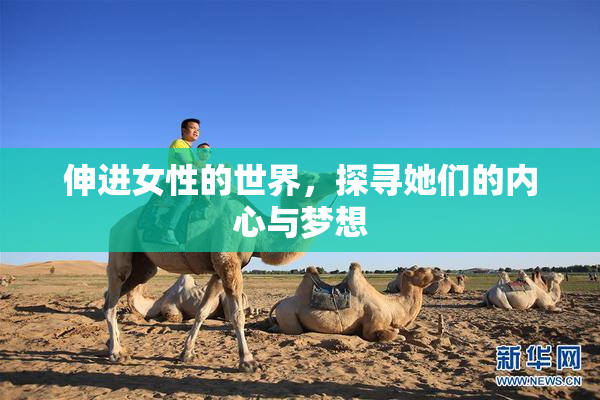 伸进女性的世界，探寻她们的内心与梦想