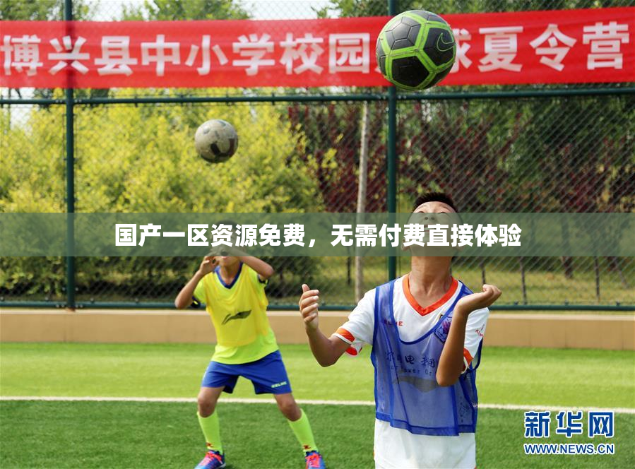 国产一区资源免费，无需付费直接体验