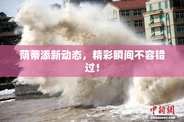 荫蒂添新动态，精彩瞬间不容错过！