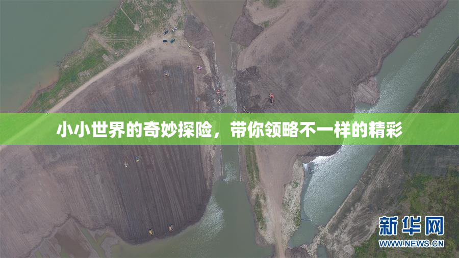 小小世界的奇妙探险，带你领略不一样的精彩