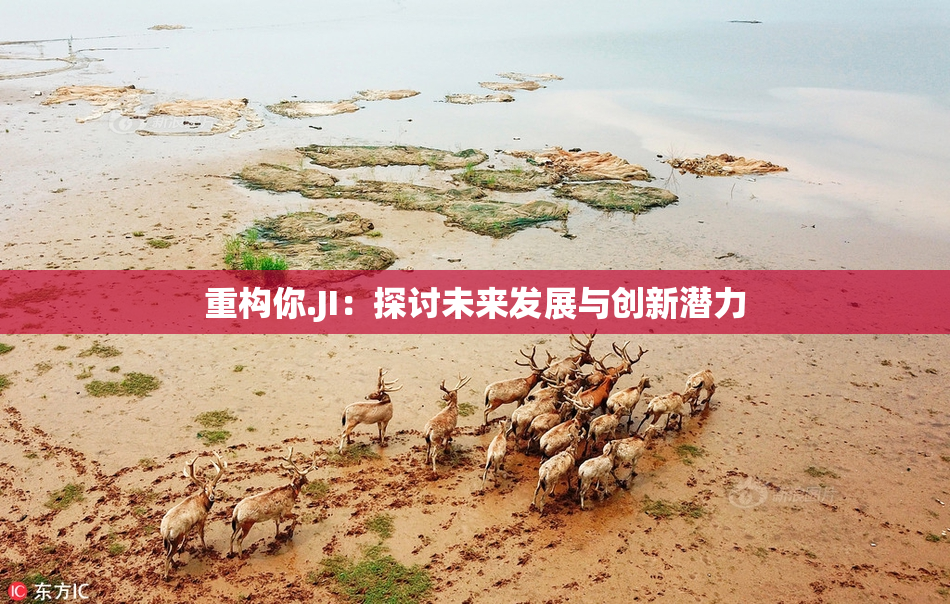 重构你.JI：探讨未来发展与创新潜力