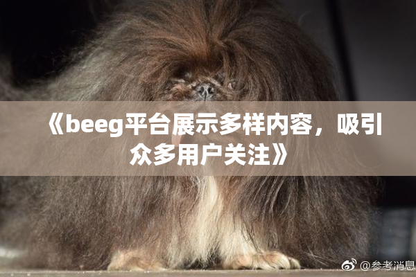 《beeg平台展示多样内容，吸引众多用户关注》