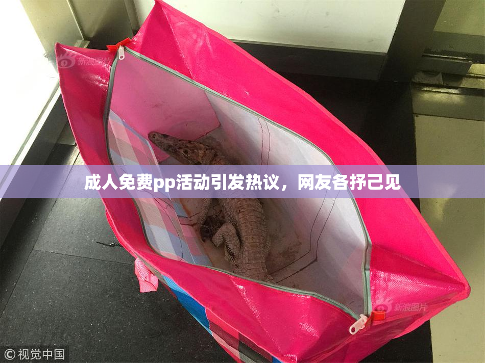 成人免费pp活动引发热议，网友各抒己见