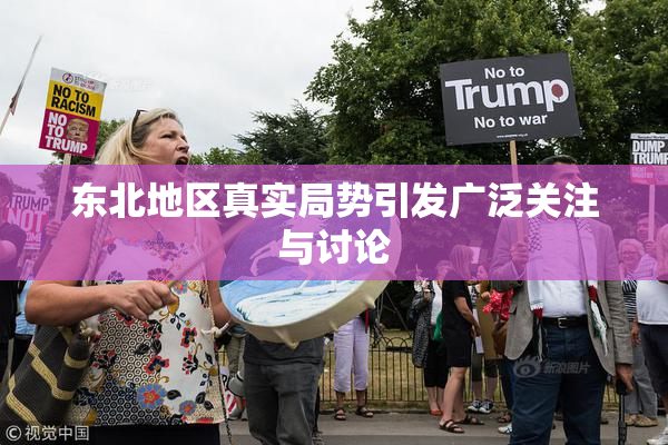 东北地区真实局势引发广泛关注与讨论