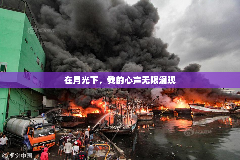 在月光下，我的心声无限涌现