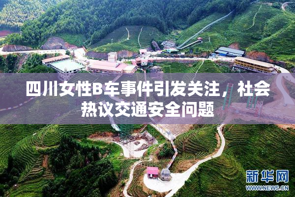 四川女性B车事件引发关注，社会热议交通安全问题