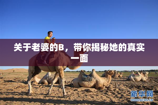 关于老婆的B，带你揭秘她的真实一面