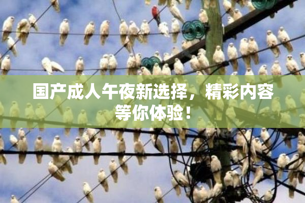 国产成人午夜新选择，精彩内容等你体验！