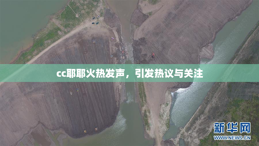cc耶耶火热发声，引发热议与关注
