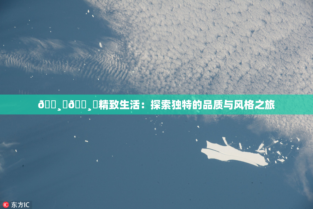 🌸‌🌸‌精致生活：探索独特的品质与风格之旅