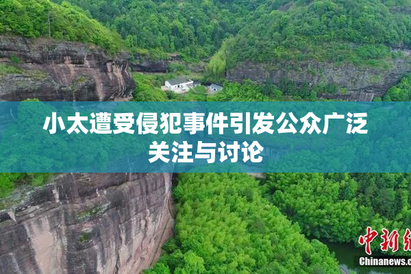 小太遭受侵犯事件引发公众广泛关注与讨论