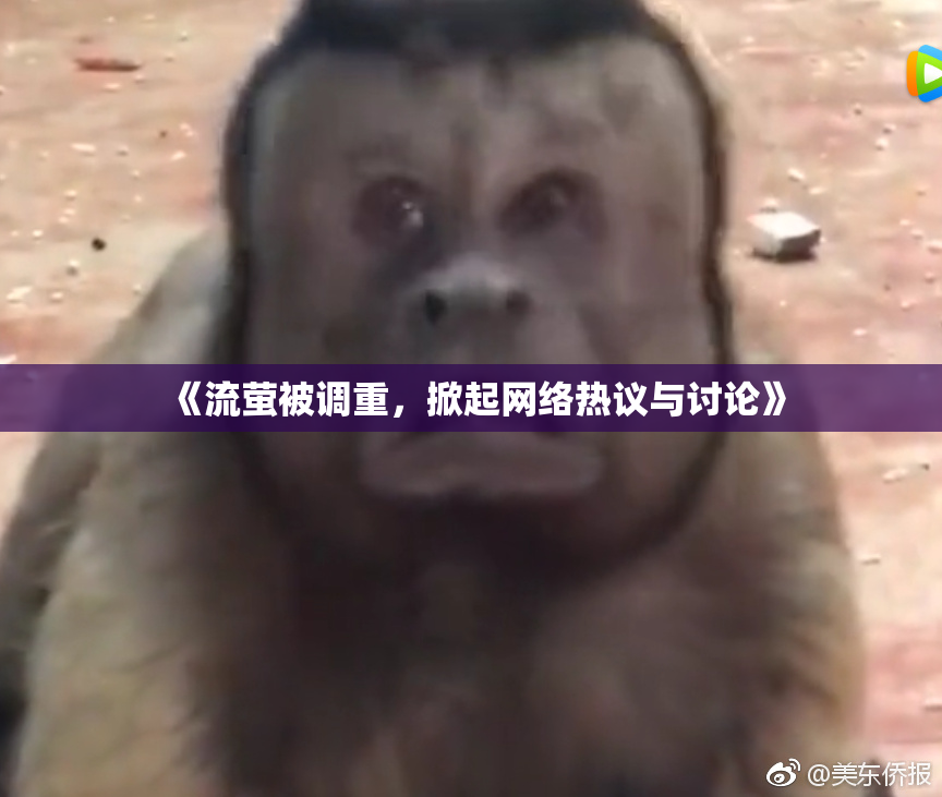 《流萤被调重，掀起网络热议与讨论》